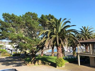 Half Moon Bay - 82