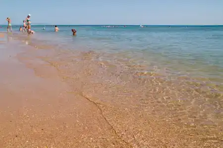 Рассвет - 10