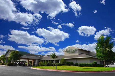 Ashmore Inn and Suites - 9