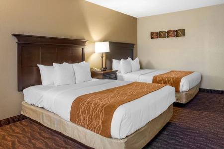 Comfort Inn at Thousand Hills - 72