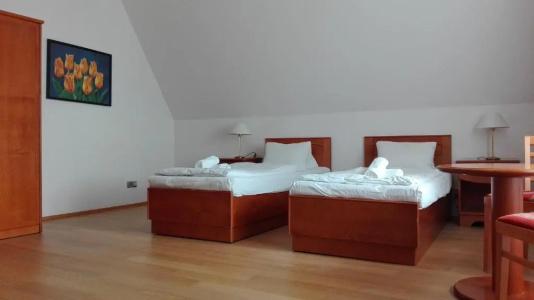 Jana / Pension Domov Mládeže - 54