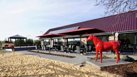 Rotes Einhorn **** - 15