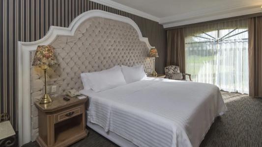 Holiday Inn Queretaro Centro Historico, An Ihg - 181