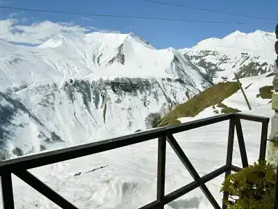 Monte - 12