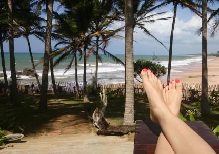 Turtle Bay - 13