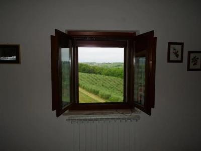 Agriturismo Montegonfoli - 166