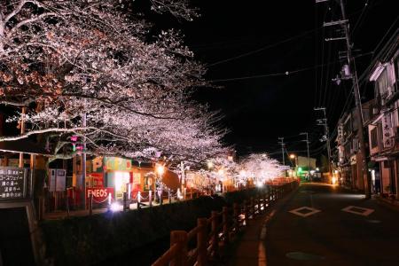 Tsutaya Ryokan - 38