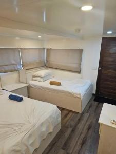 The Maverick Surf and Dive Boutique - 24