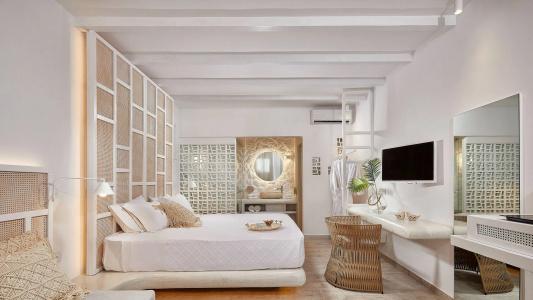 Petri Suites - 4
