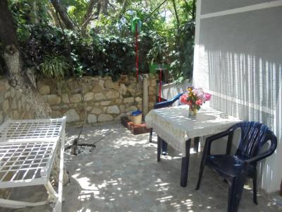Zace Studios - 30