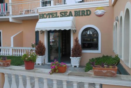 Sea Bird - 0