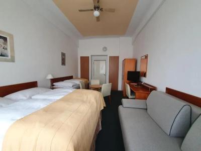 Jana / Pension Domov Mládeže - 26