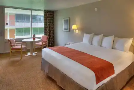 Ramada by Wyndham Kissimmee Gateway - 60