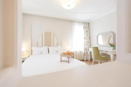 Gatto Perso Luxury Studio - 42