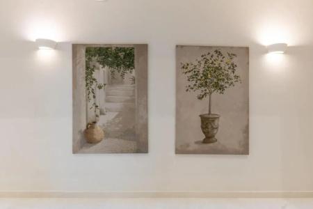 Casa Di Fiori Andros Suites - 52