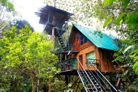 Khao sok tree house resort - 32