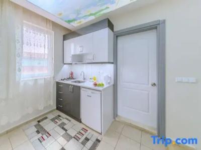 Afyon Dundar Thermal Villa - 25