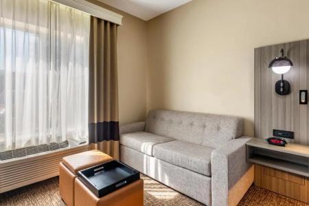 Comfort Inn & Suites North Dallas-Addison - 52