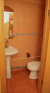 Оазис - 19
