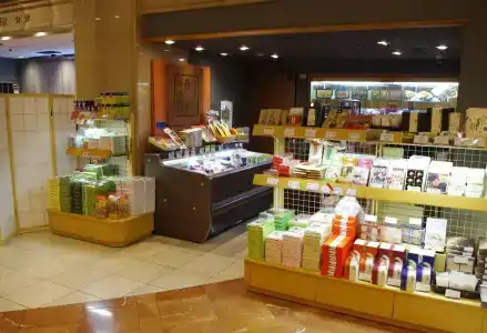 New Hankyu Kyoto - 10