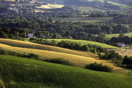 Urbino Resort - Tenuta Santi Giacomo e Filippo - 30