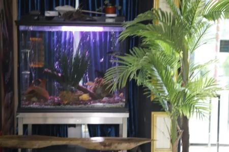 Silivri Safir & Resort Beach And Restaurant - 14