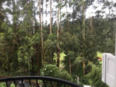Panorama Green View Nuwara Eliya - 35