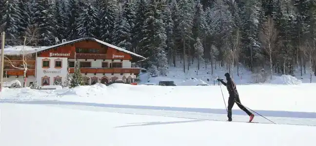 Pension Bärenwirt - 32