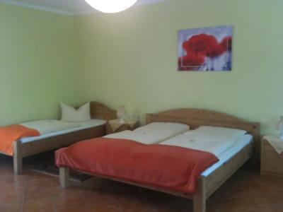 -Pension Am Mühlberg - 27