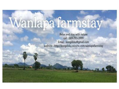 Wanlapa Farmstay - 31