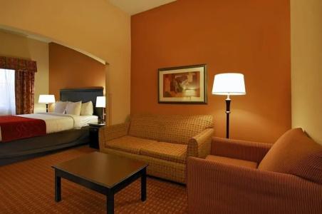 Comfort Suites West I-20 - 47