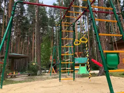 Зеленый Бор - 5
