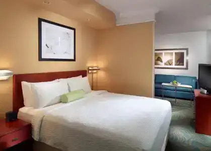 SpringHill Suites by Marriott Atlanta Buckhead - 2