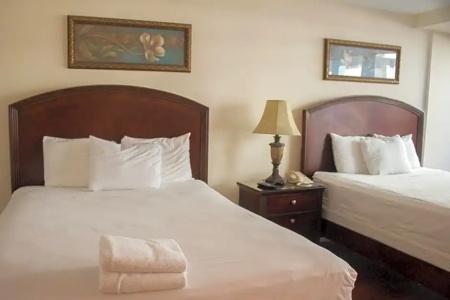 The Alexander All Suites - 641