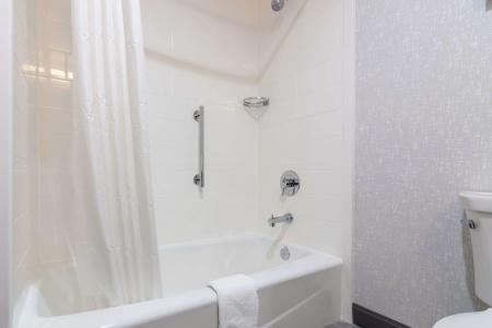Hampton Inn & Suites Dallas East - 7