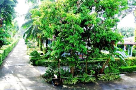 Neenlawat Riverside - 126