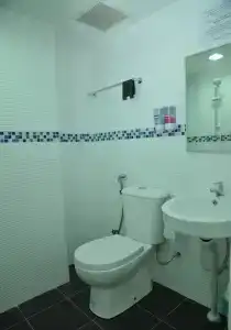 Api-Api - 8