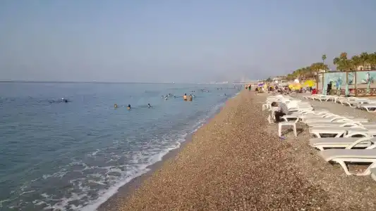 Kartal - 19