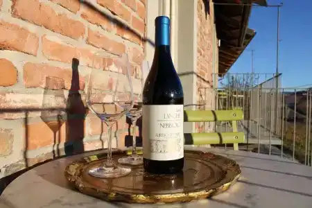 Red Wine Camere - 49