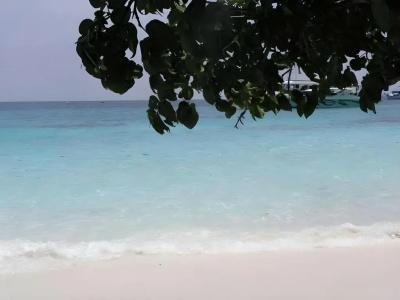 Similan - 23