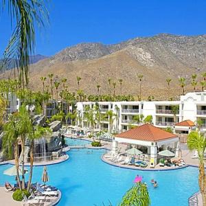Palm Canyon - 31