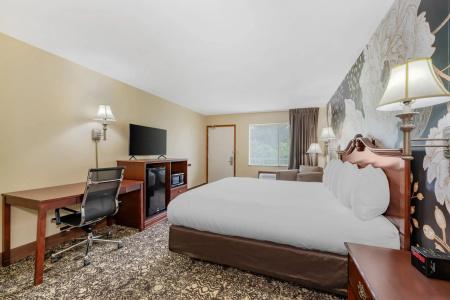 Quality Inn South - 4