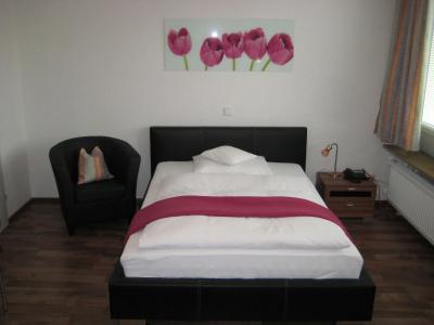 Neu Heidelberg - Guesthouse & - 4