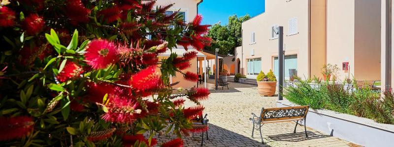 Bolgheri Marina Resort - 5