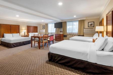 Comfort Inn & Suites - 74