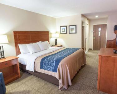 Comfort Inn Civic Center - 4