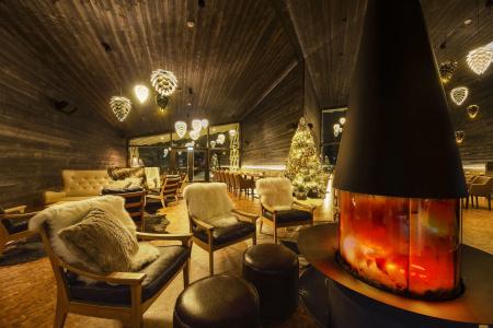 Arctic TreeHouse - 12