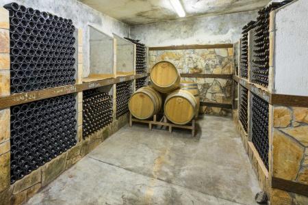 Villa Sintica - 35