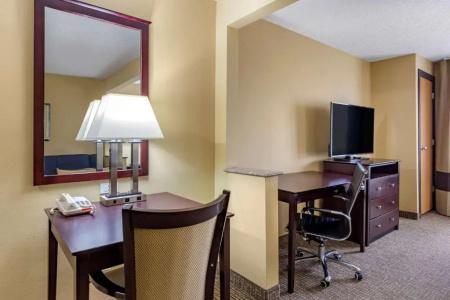Comfort Inn & Suites - 44