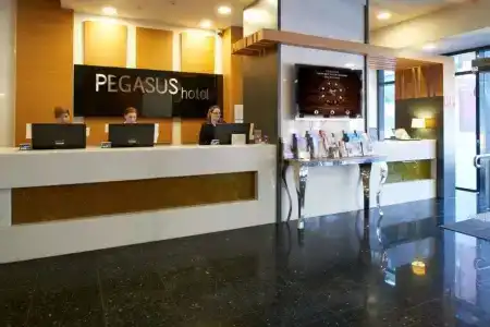 Pegasus Apart-Hotel - 33